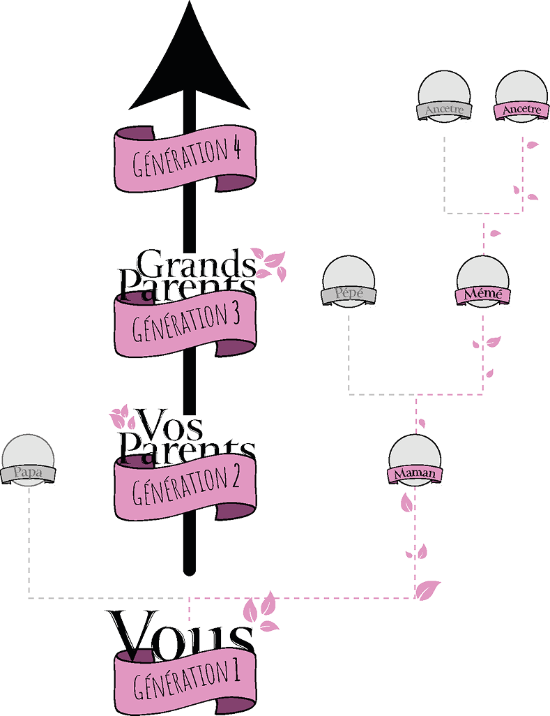 Schéma de généalogie cognatique — lignée féminine ascendante